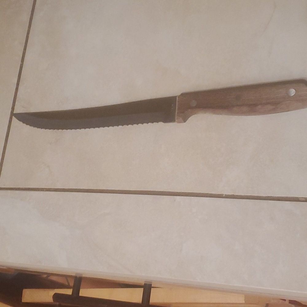Vintage Carvel Hall Serated Carving Knife Wood Handle